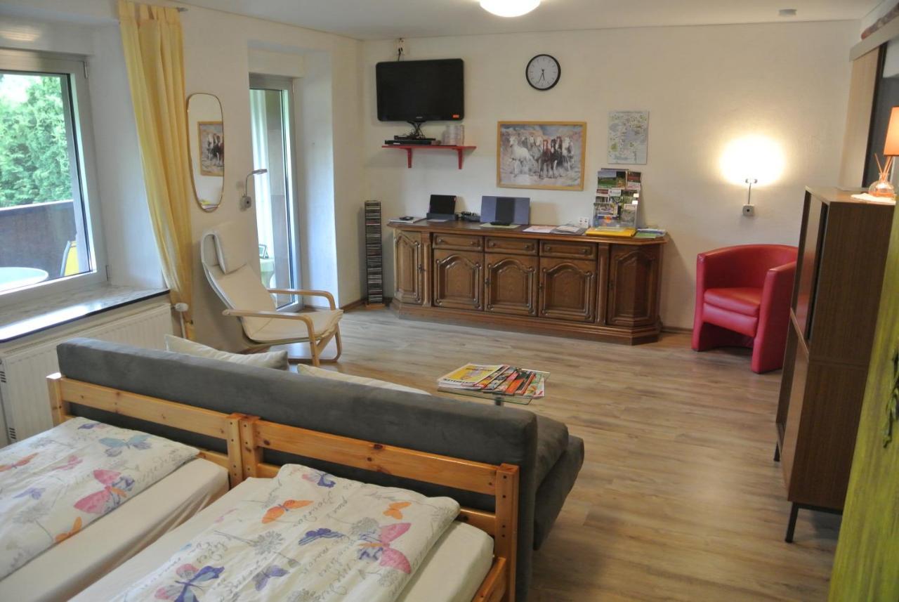 Ferienwohnung Zur Muehle Sotzweiler Dış mekan fotoğraf