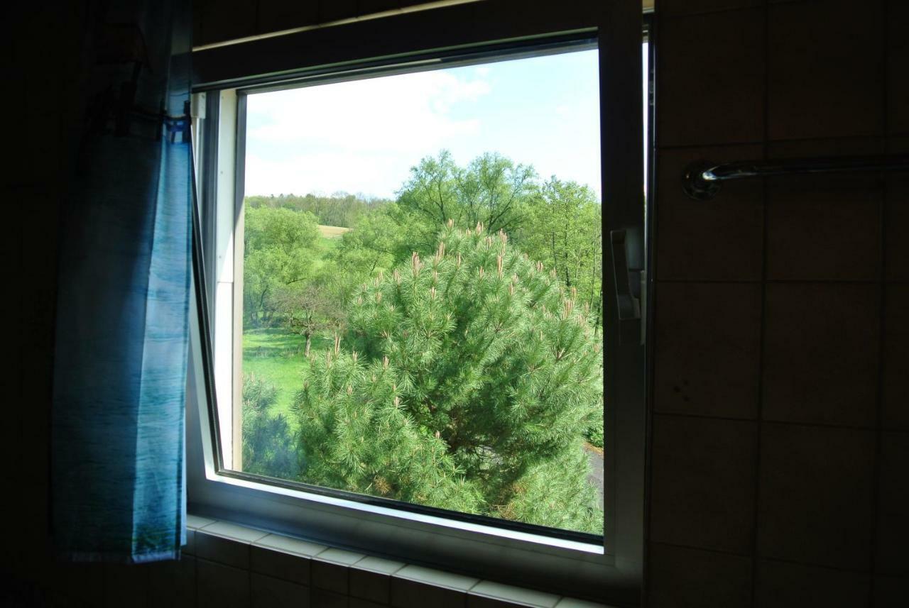 Ferienwohnung Zur Muehle Sotzweiler Dış mekan fotoğraf
