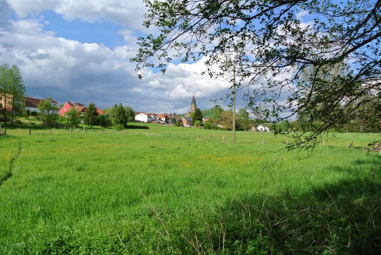 Ferienwohnung Zur Muehle Sotzweiler Dış mekan fotoğraf