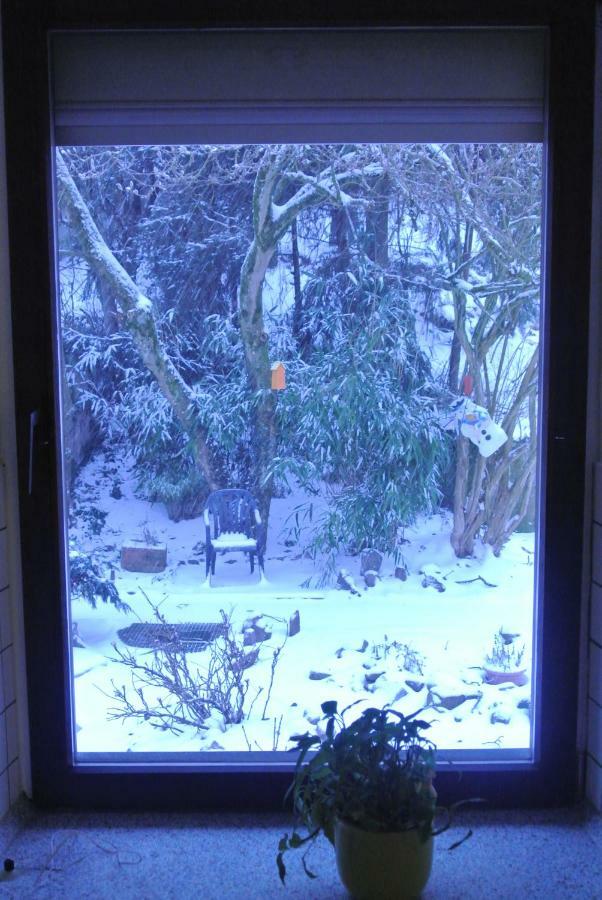 Ferienwohnung Zur Muehle Sotzweiler Dış mekan fotoğraf