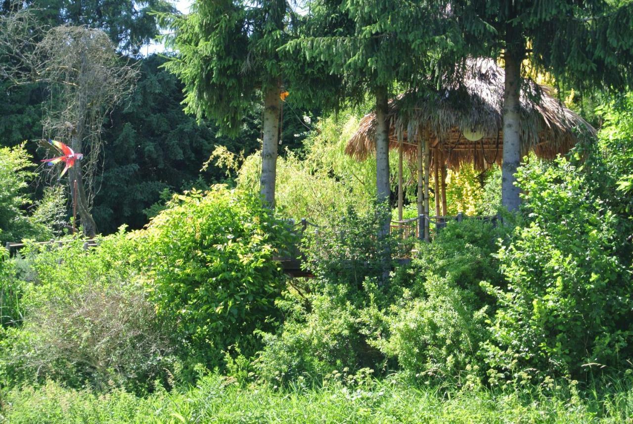 Ferienwohnung Zur Muehle Sotzweiler Dış mekan fotoğraf