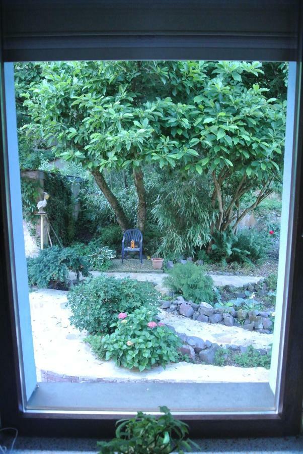 Ferienwohnung Zur Muehle Sotzweiler Dış mekan fotoğraf